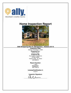Ally inspection report sample