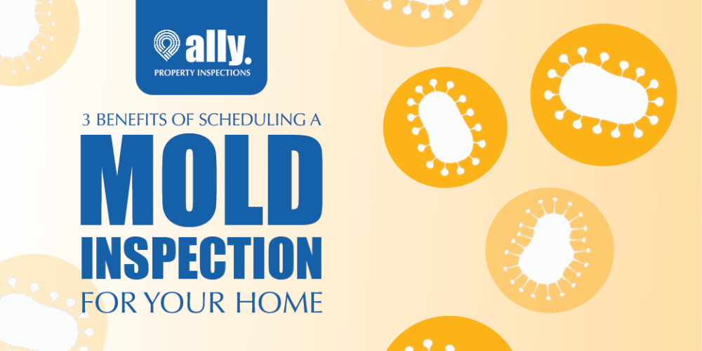 3 BENEFITS OF SCHEDULING A MOLD INSPECTION FOR YOUR HOME