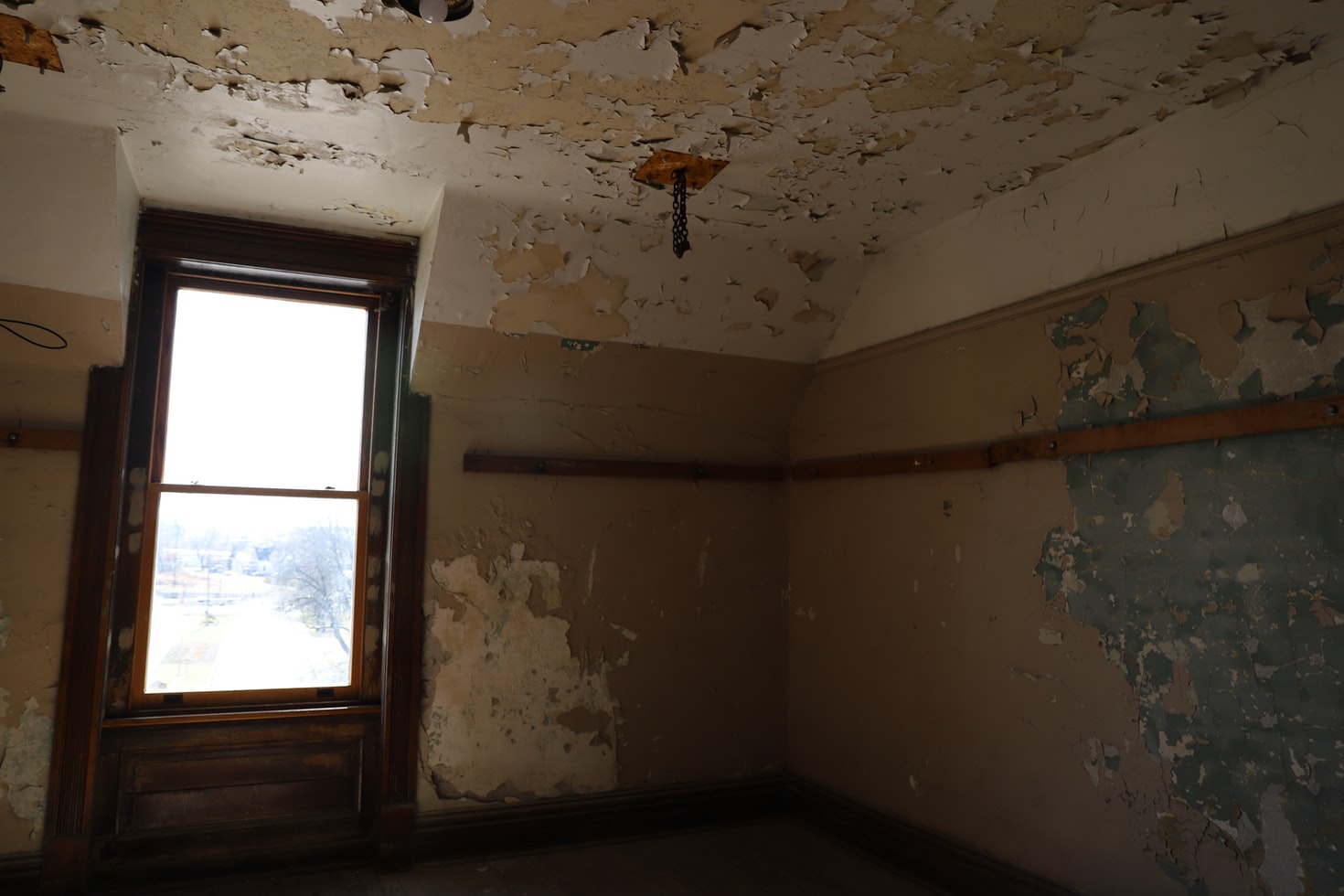 How Dangerous is Mold in Your Home & What Can You Do?