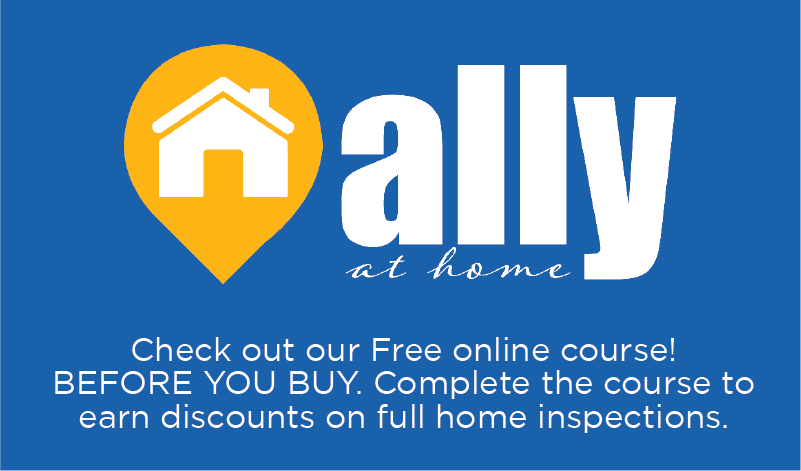 ALLY_Website_AAHBlueBox