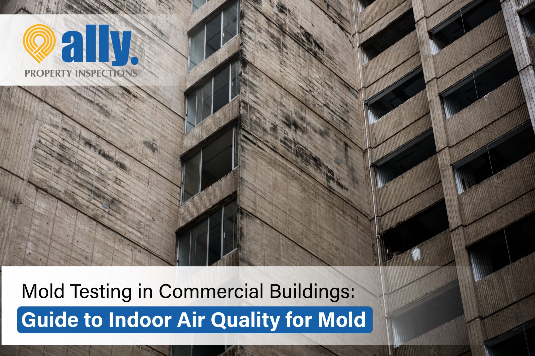 When to Test for Mold A Guide by Ally Property Inspections