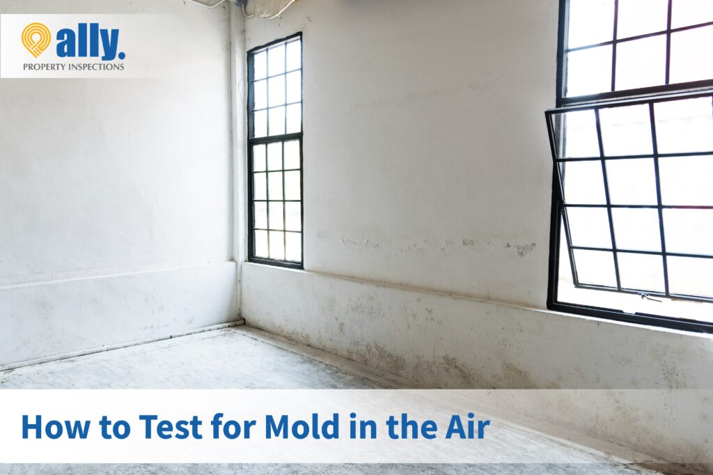 Mold testing