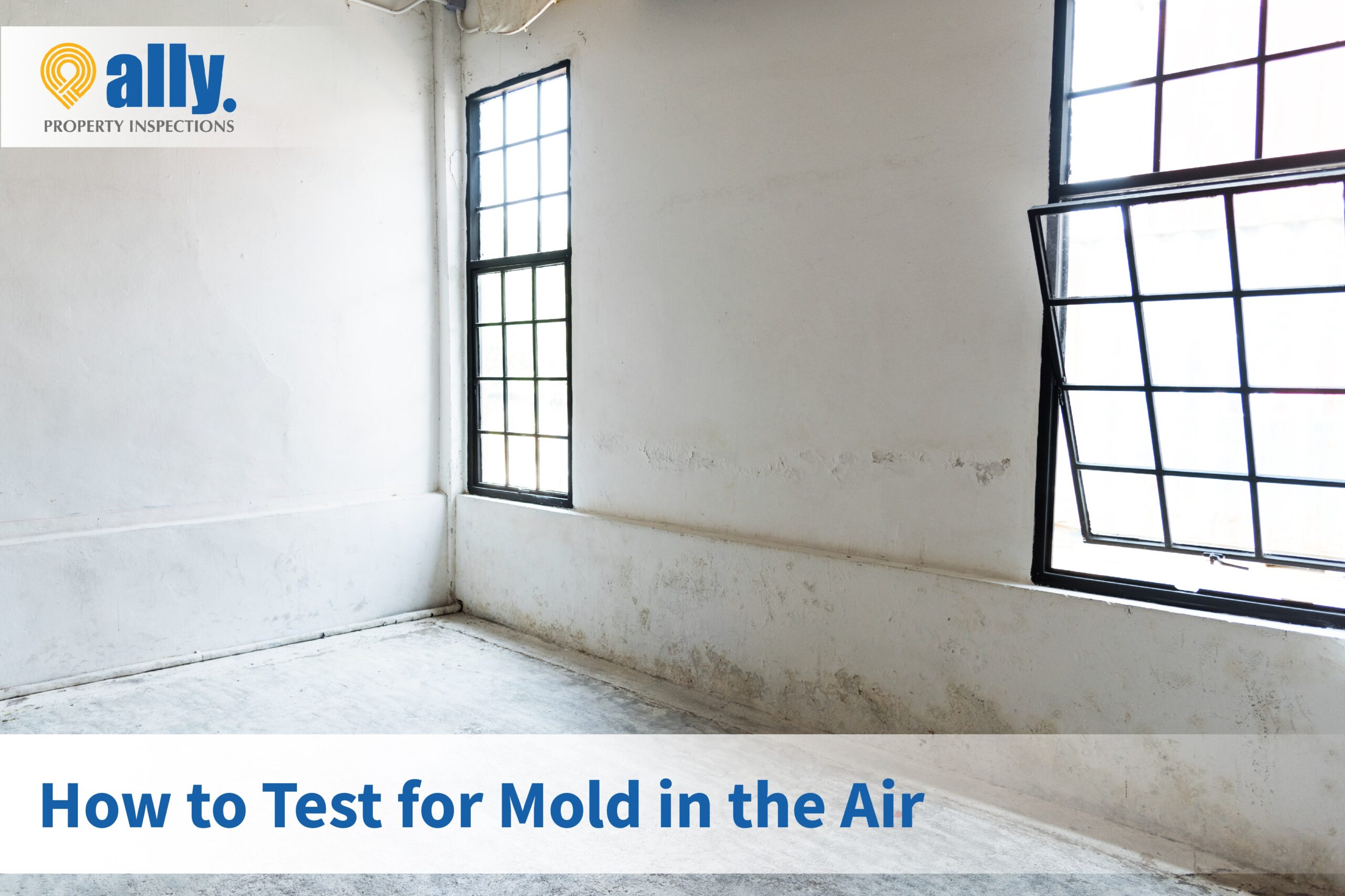 How to Test for Mold in the Air