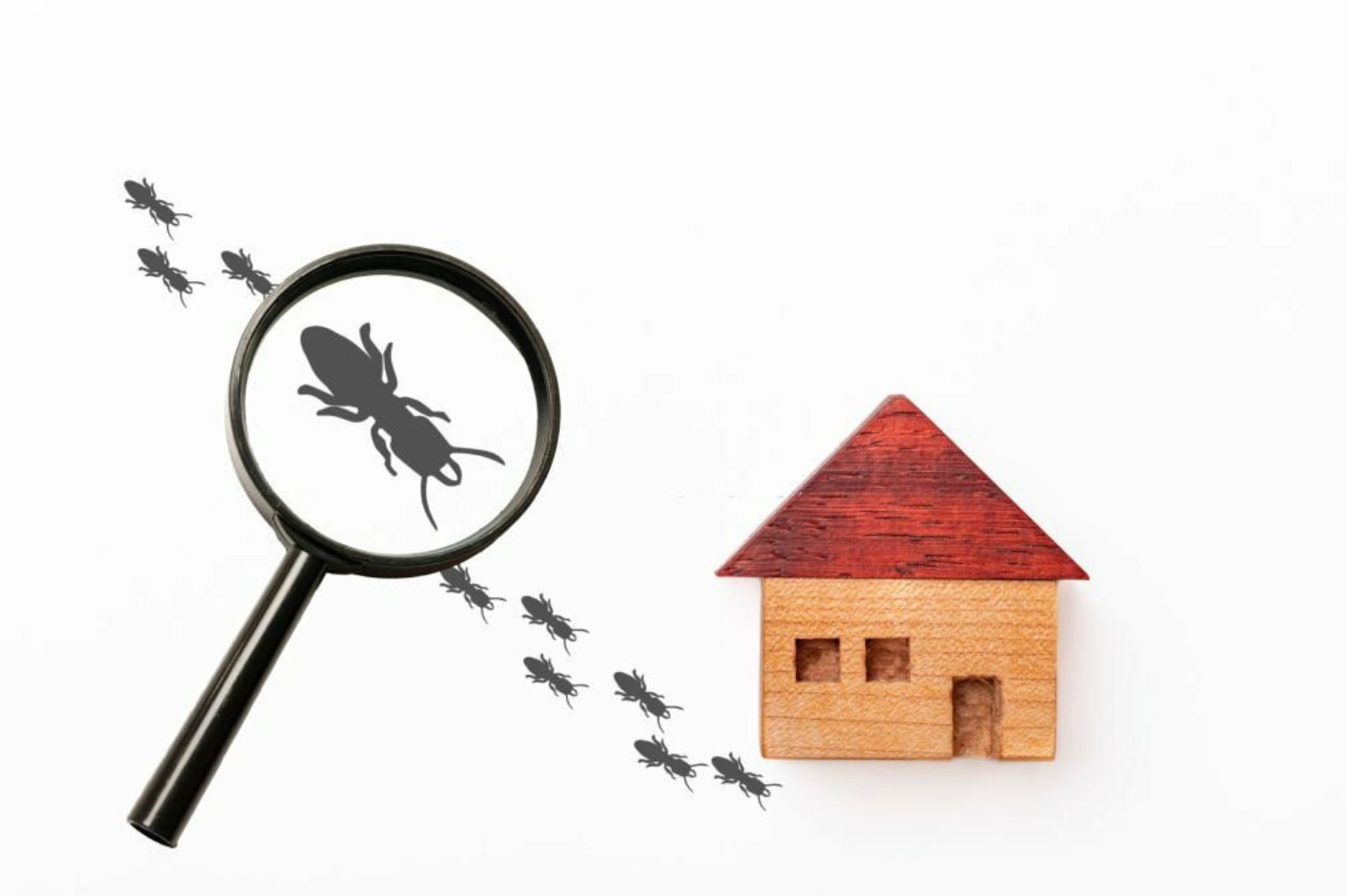 Fall and Pest Inspections