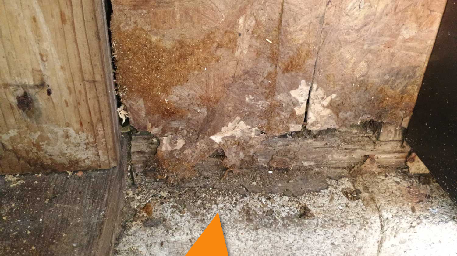 Termite damage to wood framing found during a termite inspection in Atlanta
