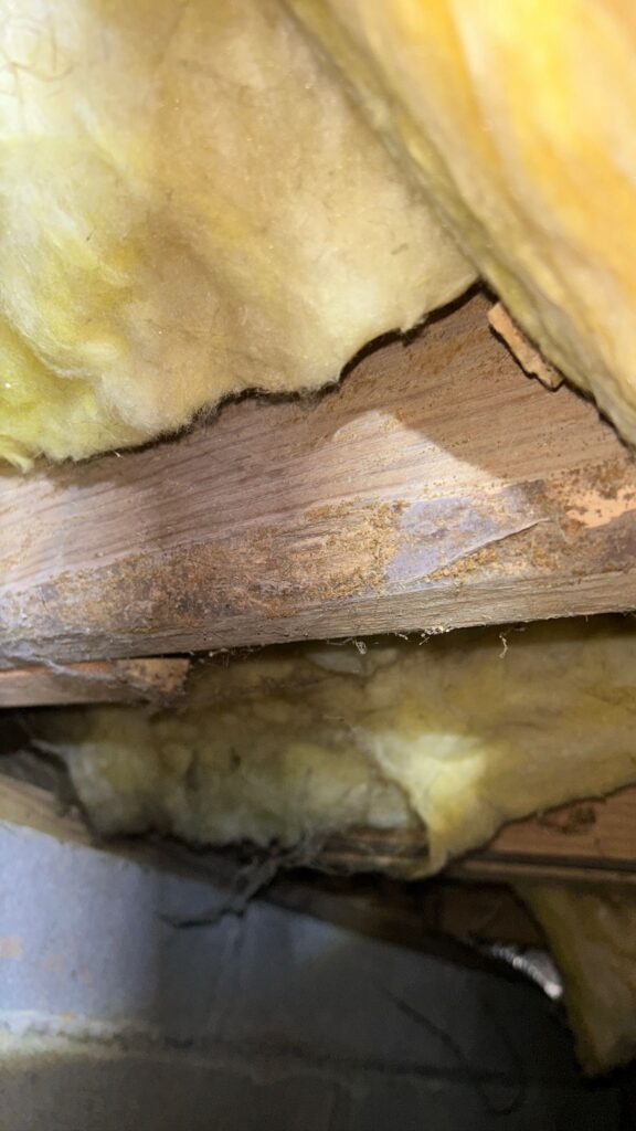 Ally Property Inspections crawl space inspection in an Alabama home