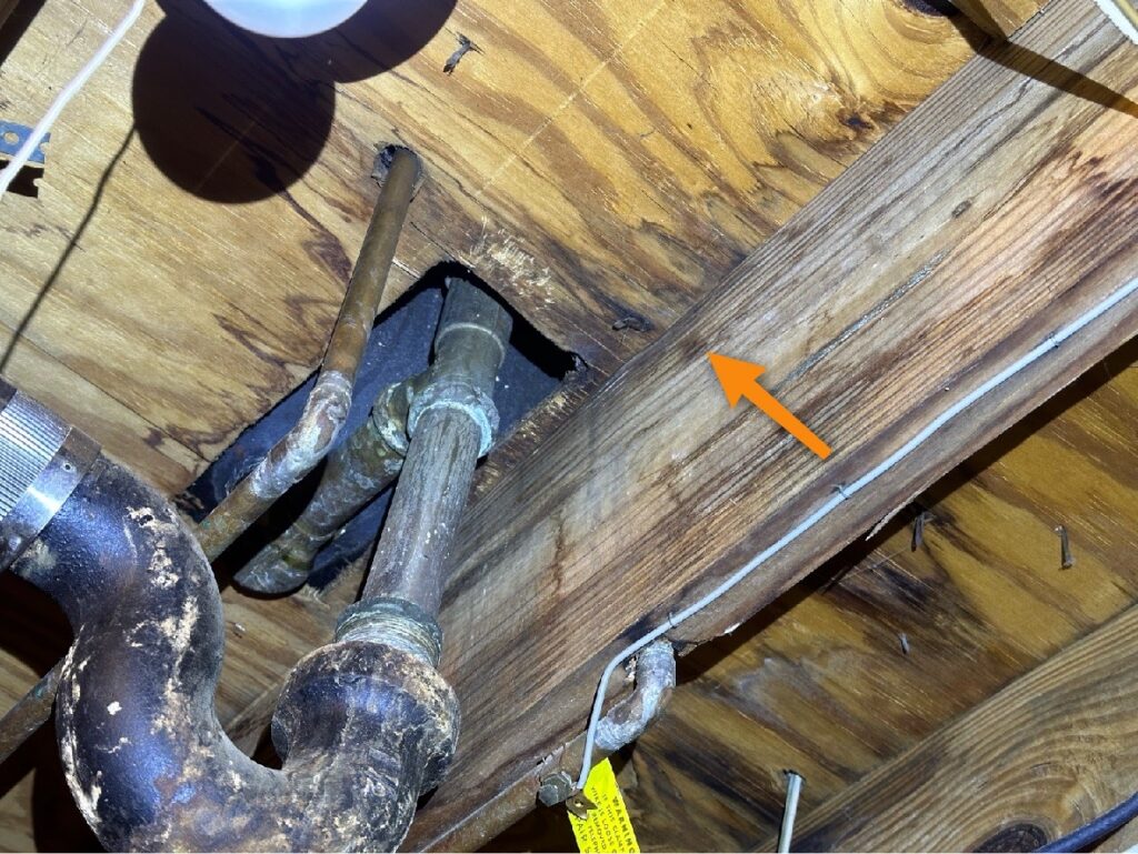 Subfloor moisture damage found during an investment property inspection