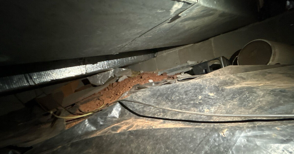 Crawl space conditions a buyer's inspector will find if the seller doesn't look first